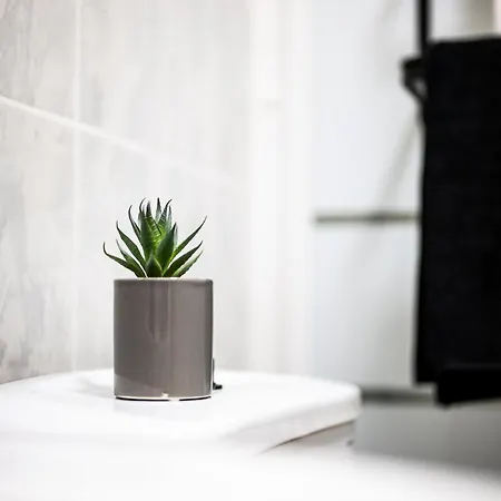 Penthouse Playa Del Cura - * Torrevieja