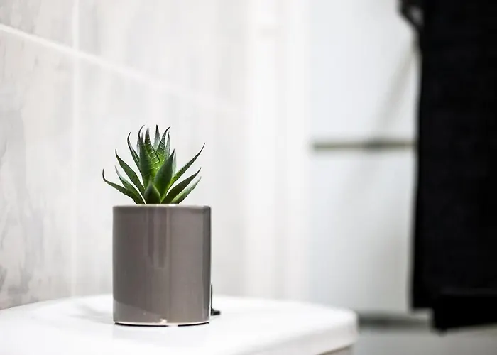 Penthouse Playa Del Cura - * Torrevieja